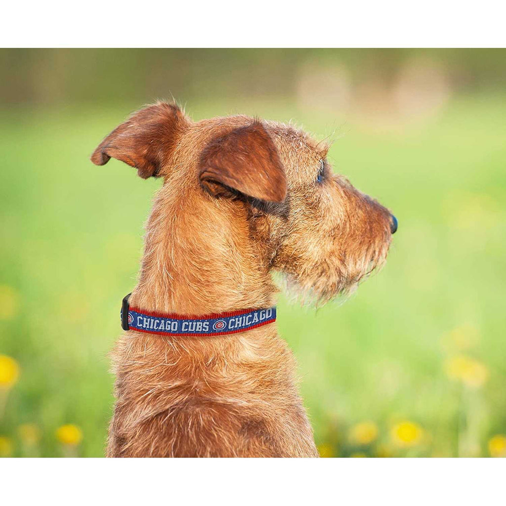 Chicago Cubs Dog Collar D640