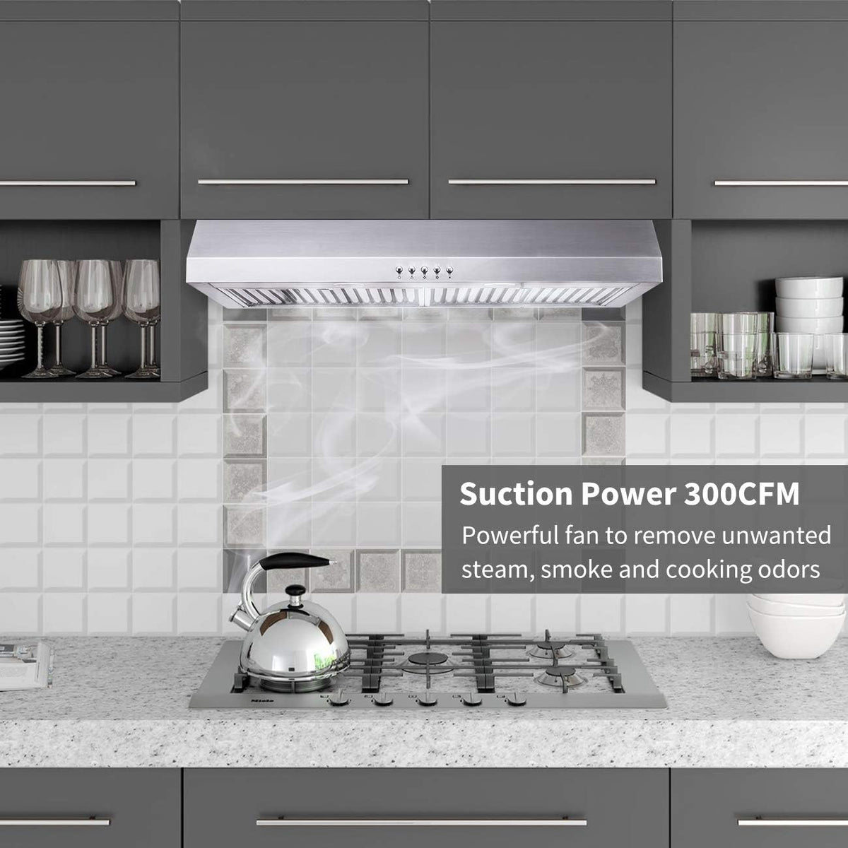 30 inch Stainless Steel Under Cabinet Range Hood with LED Lighting D4249