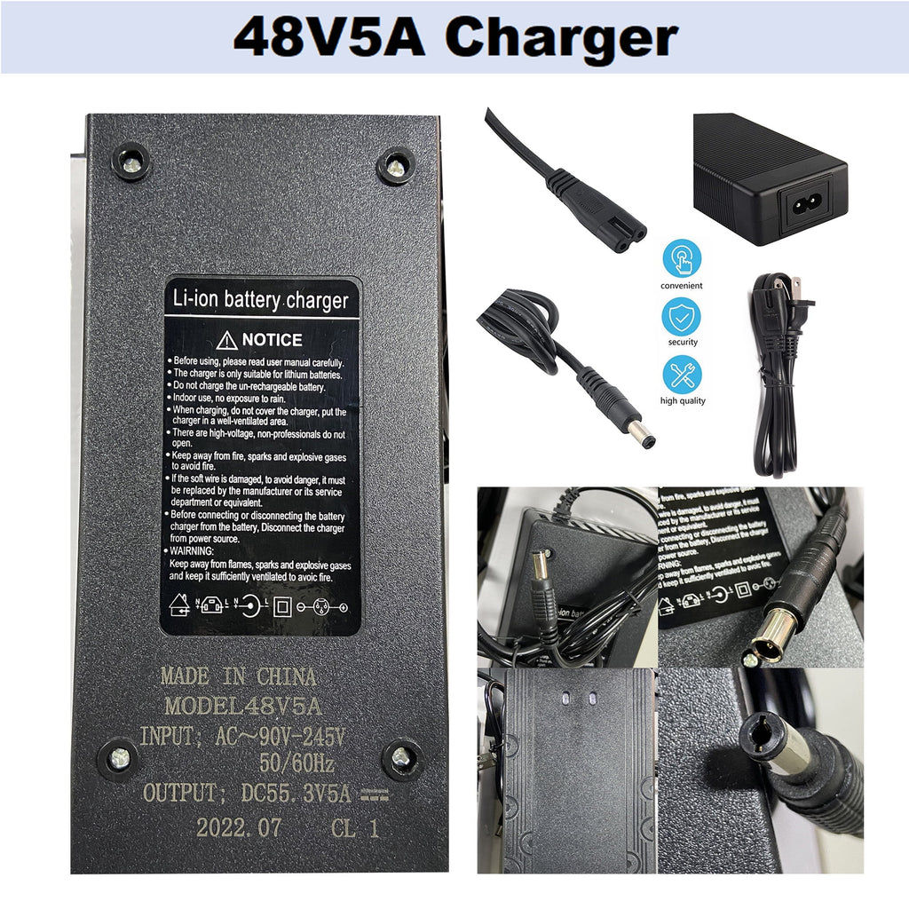 48V 10Ah Lithium Ebike Battery with 5A Fast Charger U61840