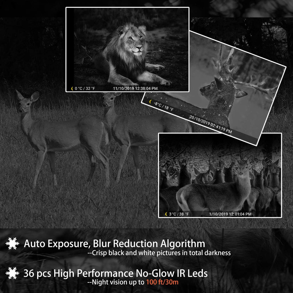 2-Pack 24MP 1296P Trail Cameras with Night Vision M4311