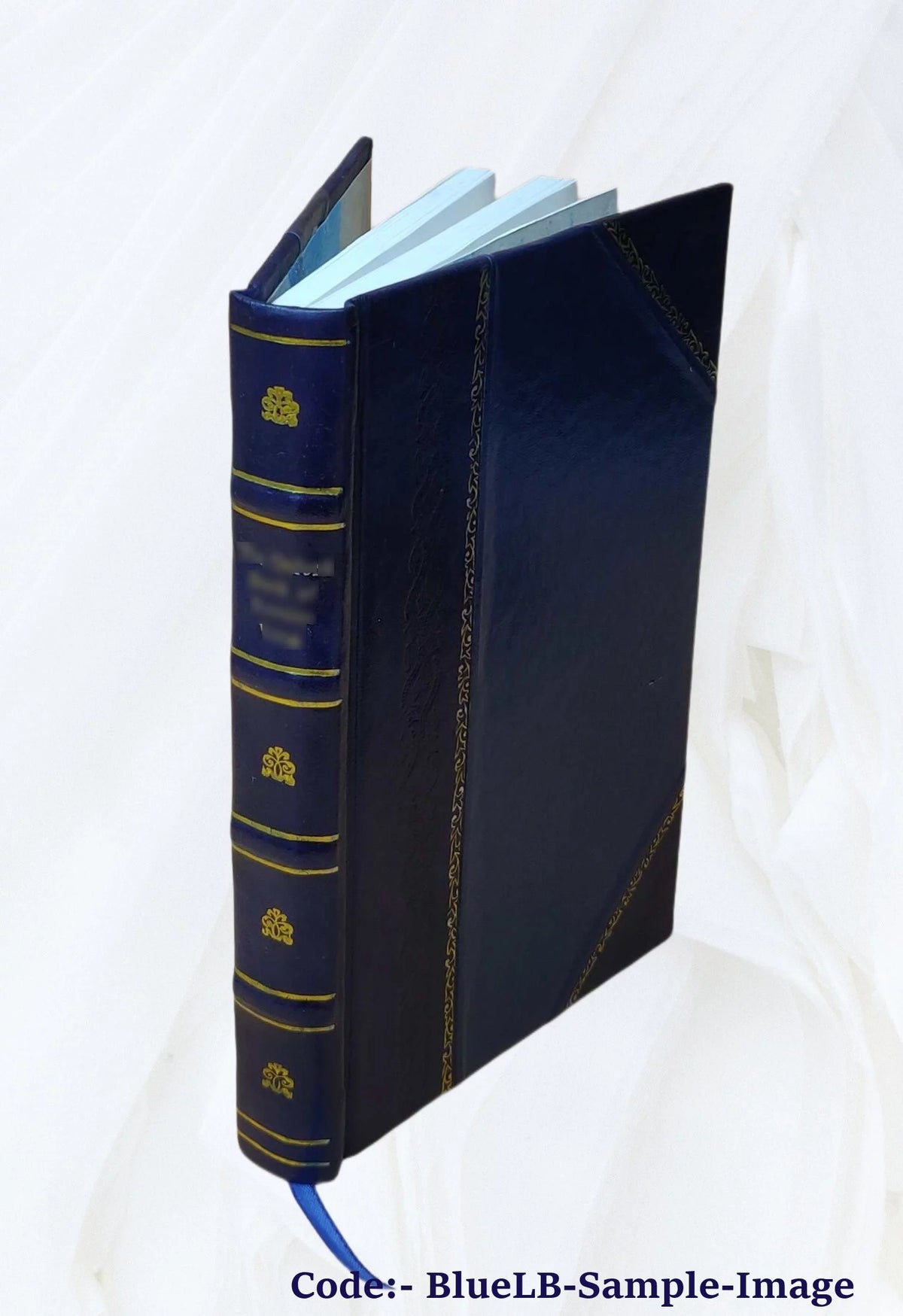 Leather Bound Volume v. 13 1921 X627940