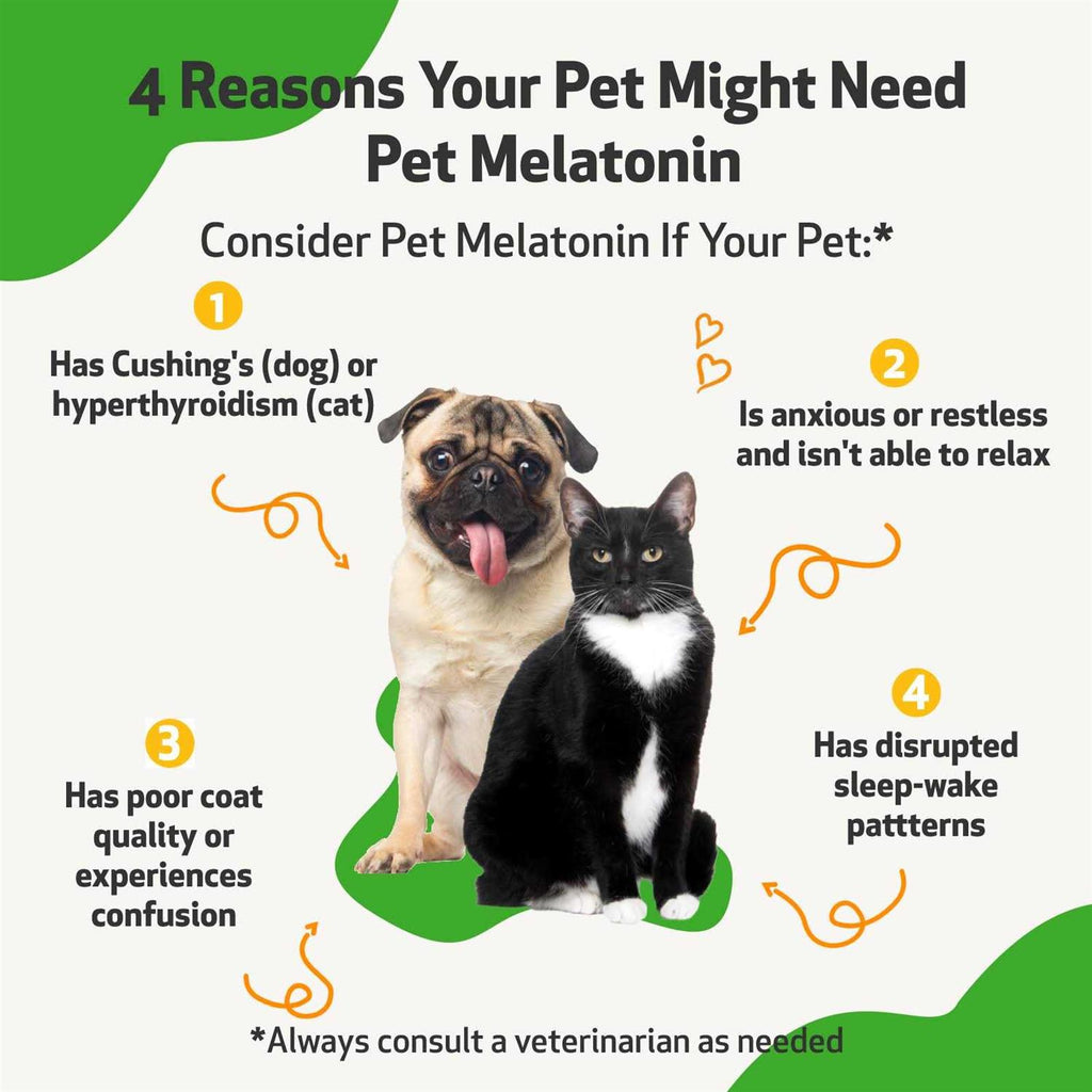 Melatonin for Dogs R65434
