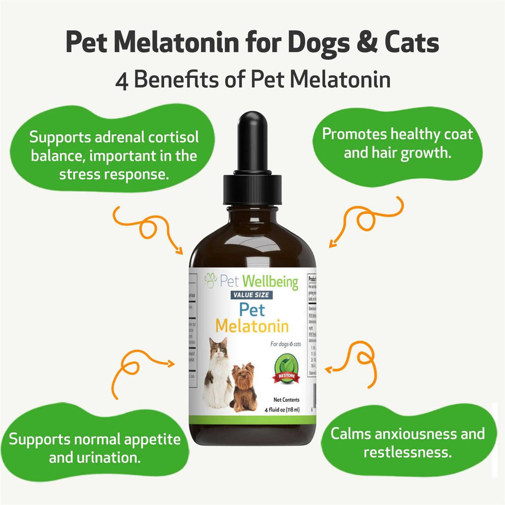 Melatonin for Dogs R65434