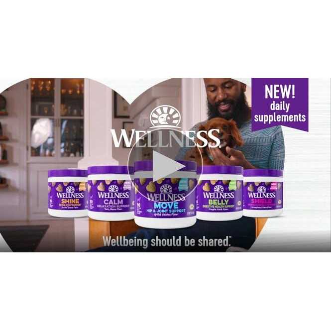 Cheese Flavored Soft Chews Calming Supplements for Dogs G803556