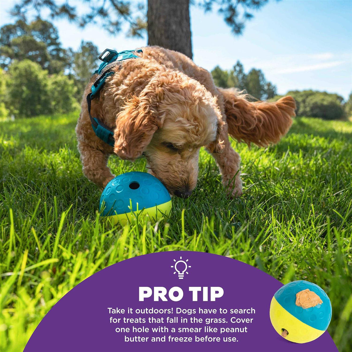 Treat Tumble Dog Toy F12148