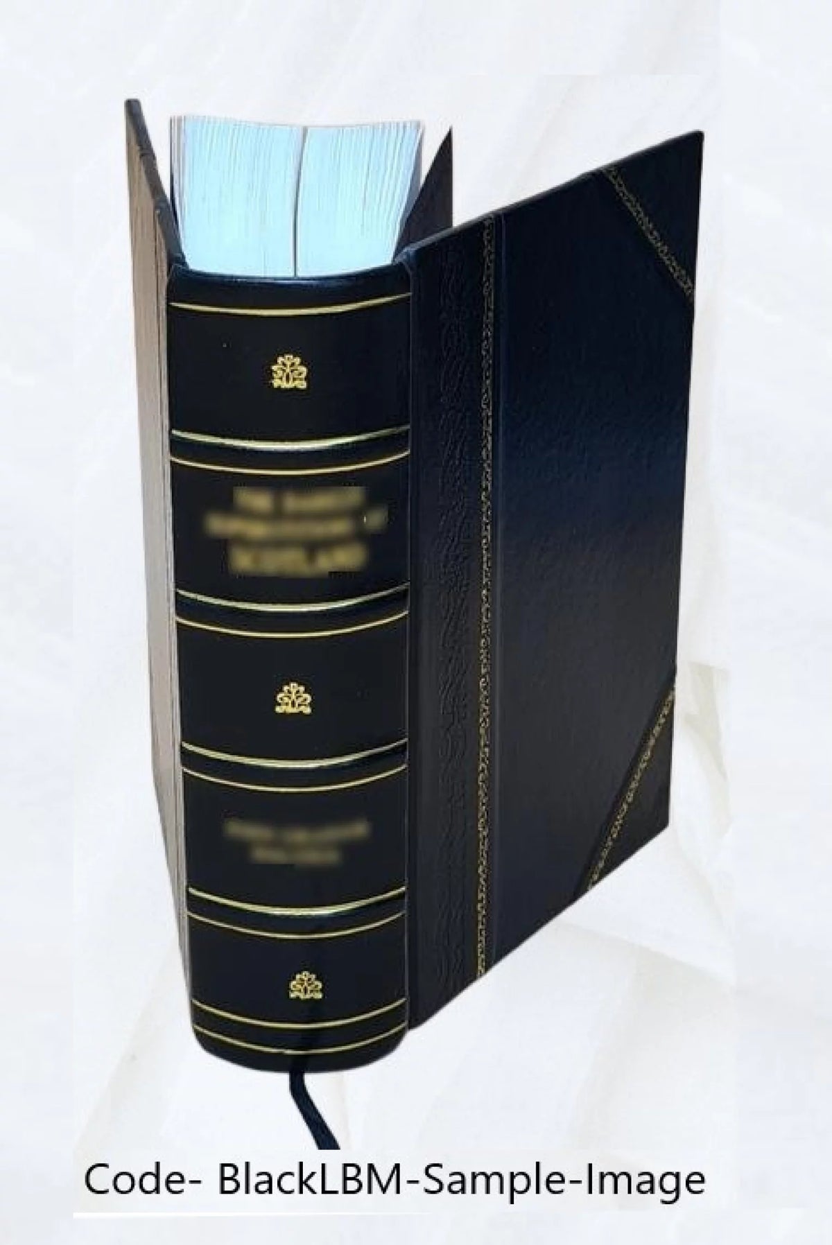 Calendar of State Papers 1547-1580 Leather Bound U289986