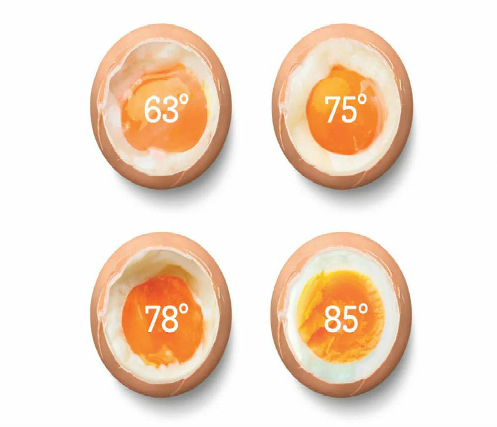 Egg Cooker J316