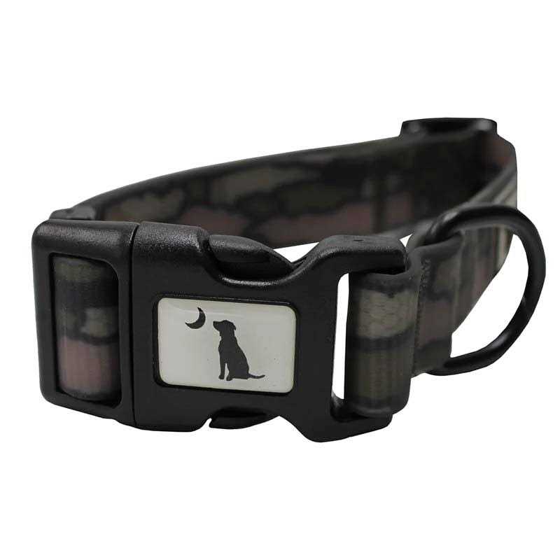 Dog Collar G69259