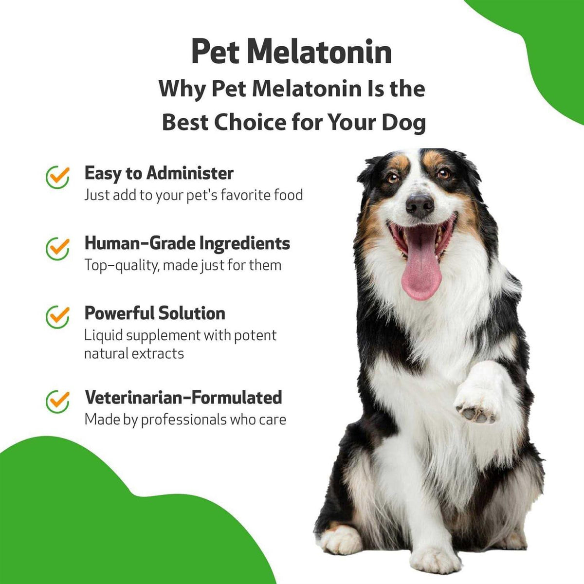 Melatonin for Dogs R65434