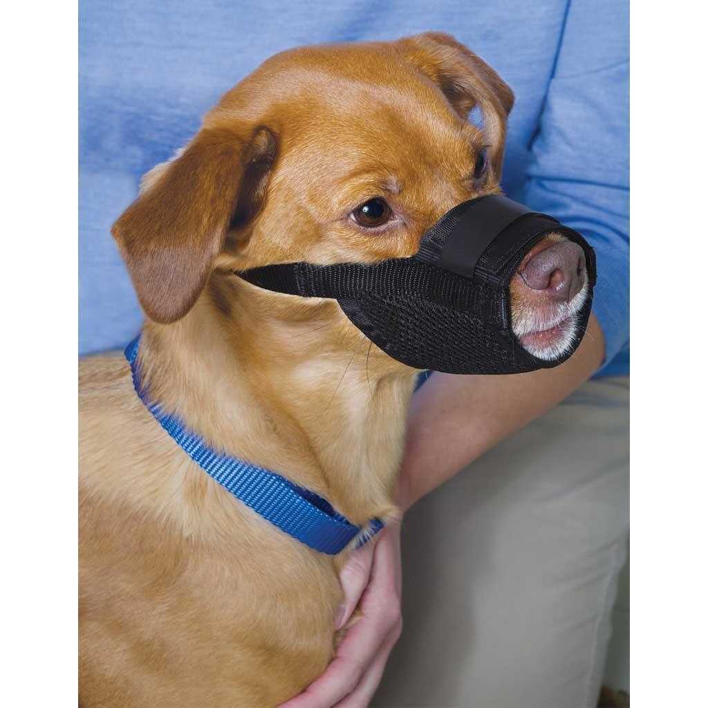 Dog Muzzle U6940