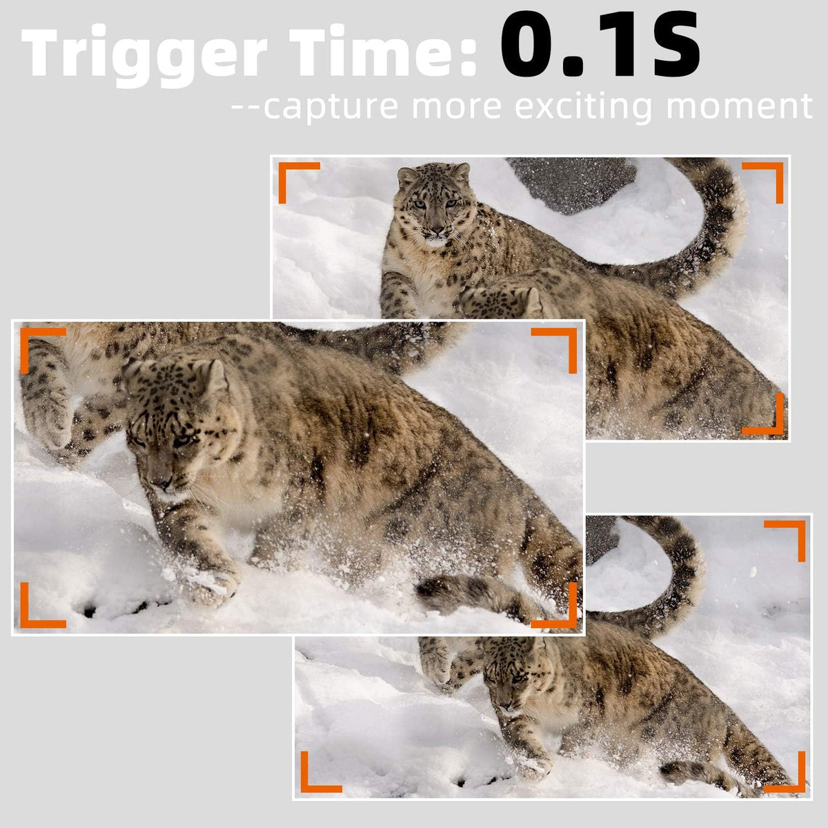 2-Pack 24MP 1296P Trail Cameras with Night Vision M4311