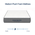 14 Medium Plush Gel Memory Foam Spring Mattress with Pillow, Twin C174