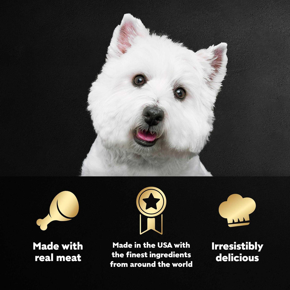 Wet Dog Food Variety Pack E343537