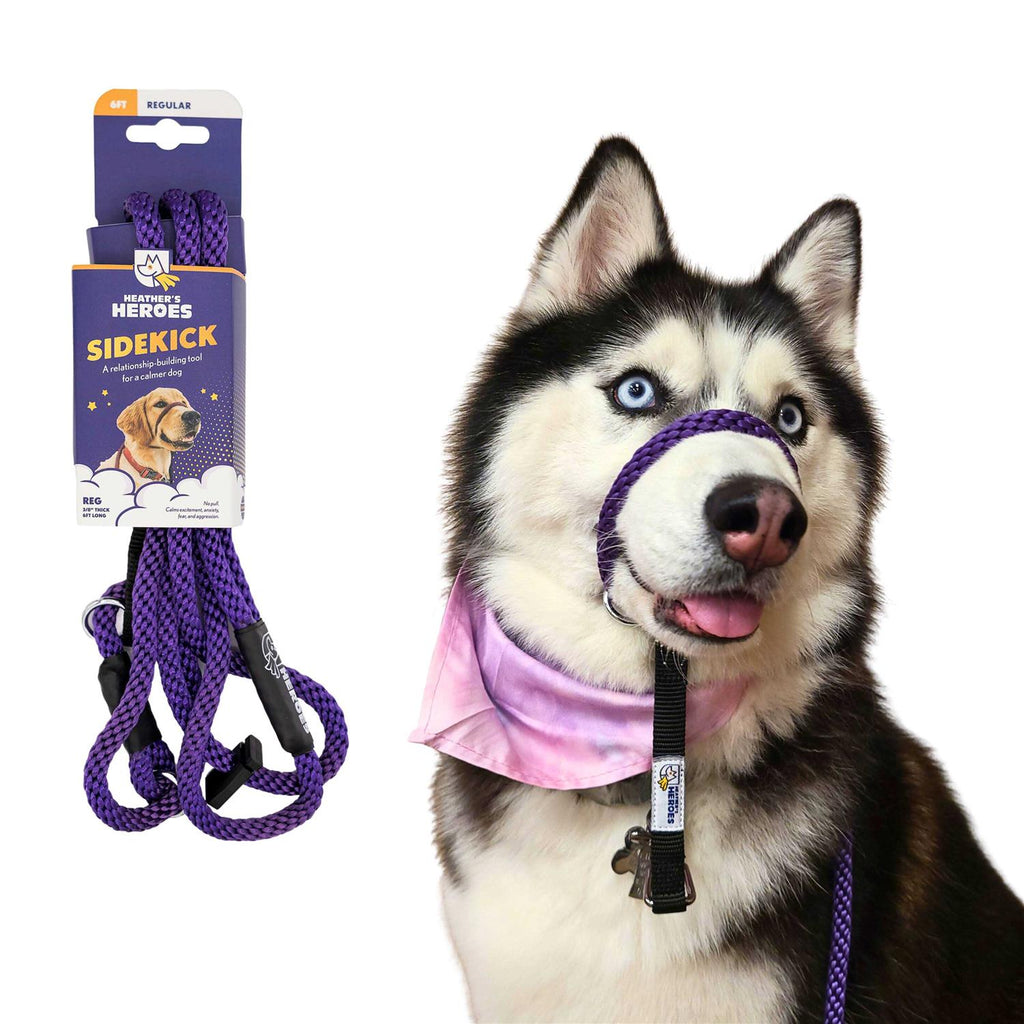 Pet Supplies W424