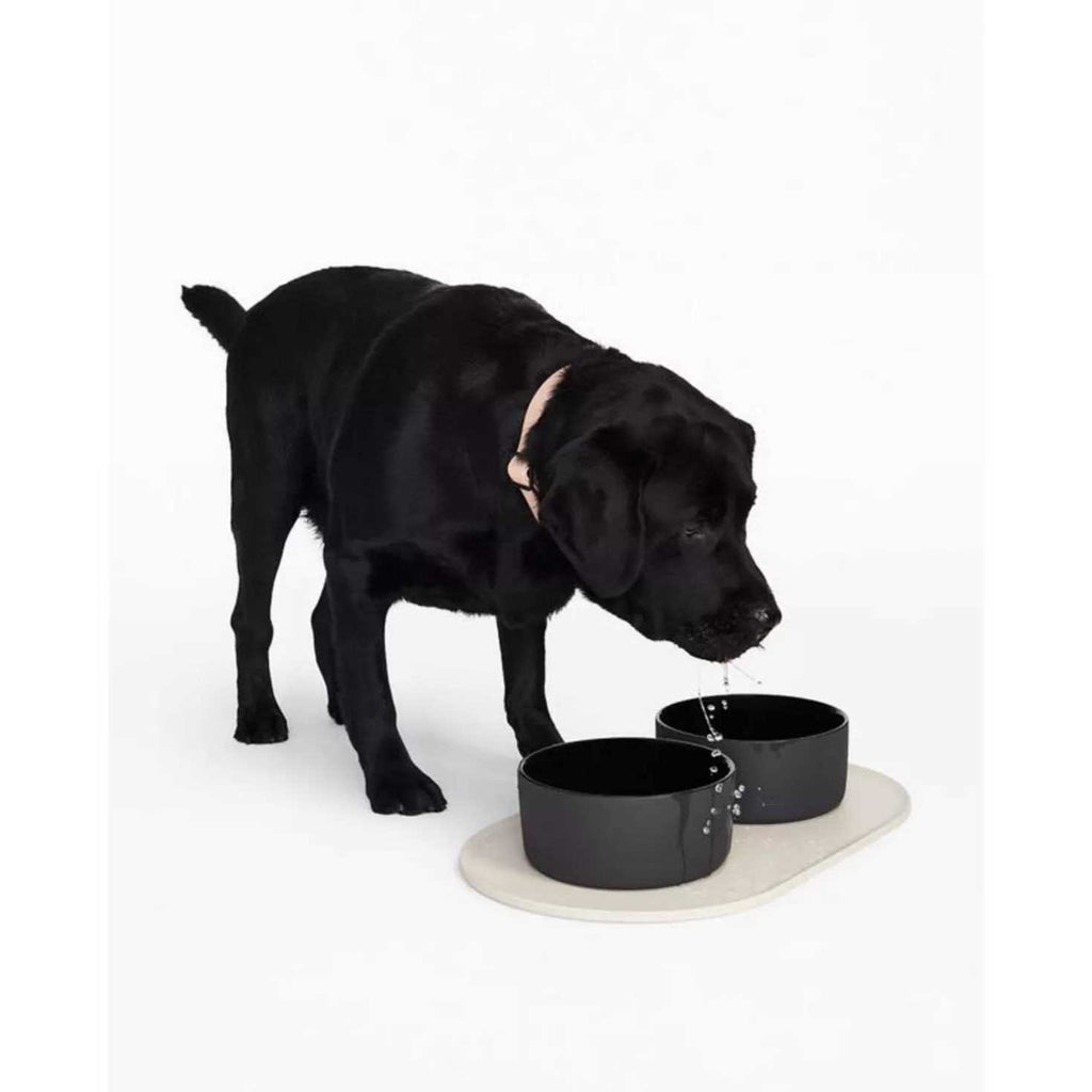 Dog Bowl Mat A26317