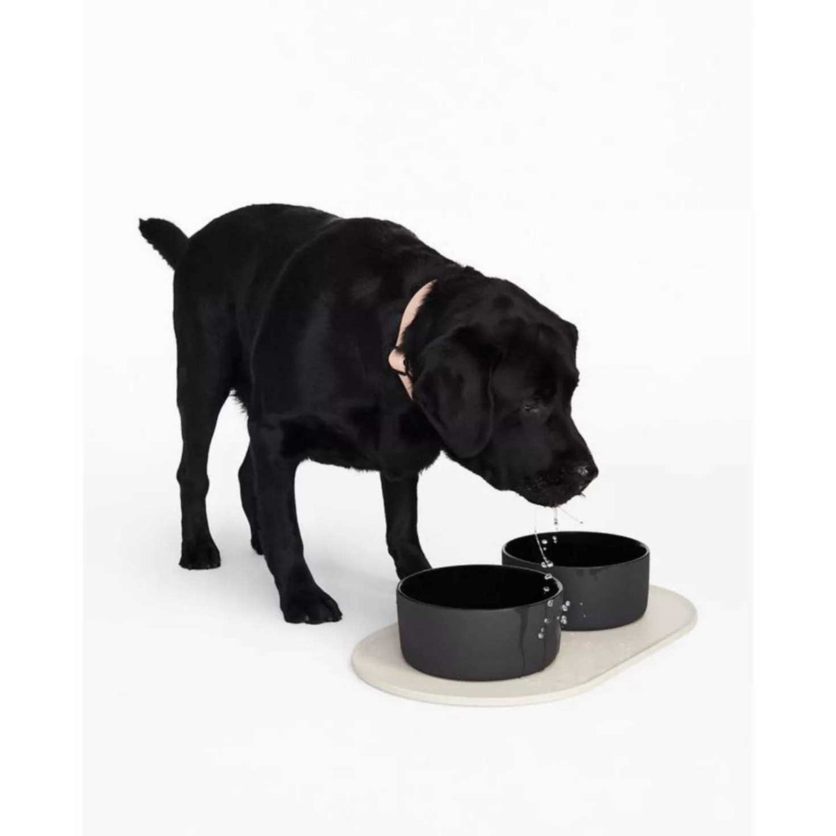 Dog Bowl Mat A26317