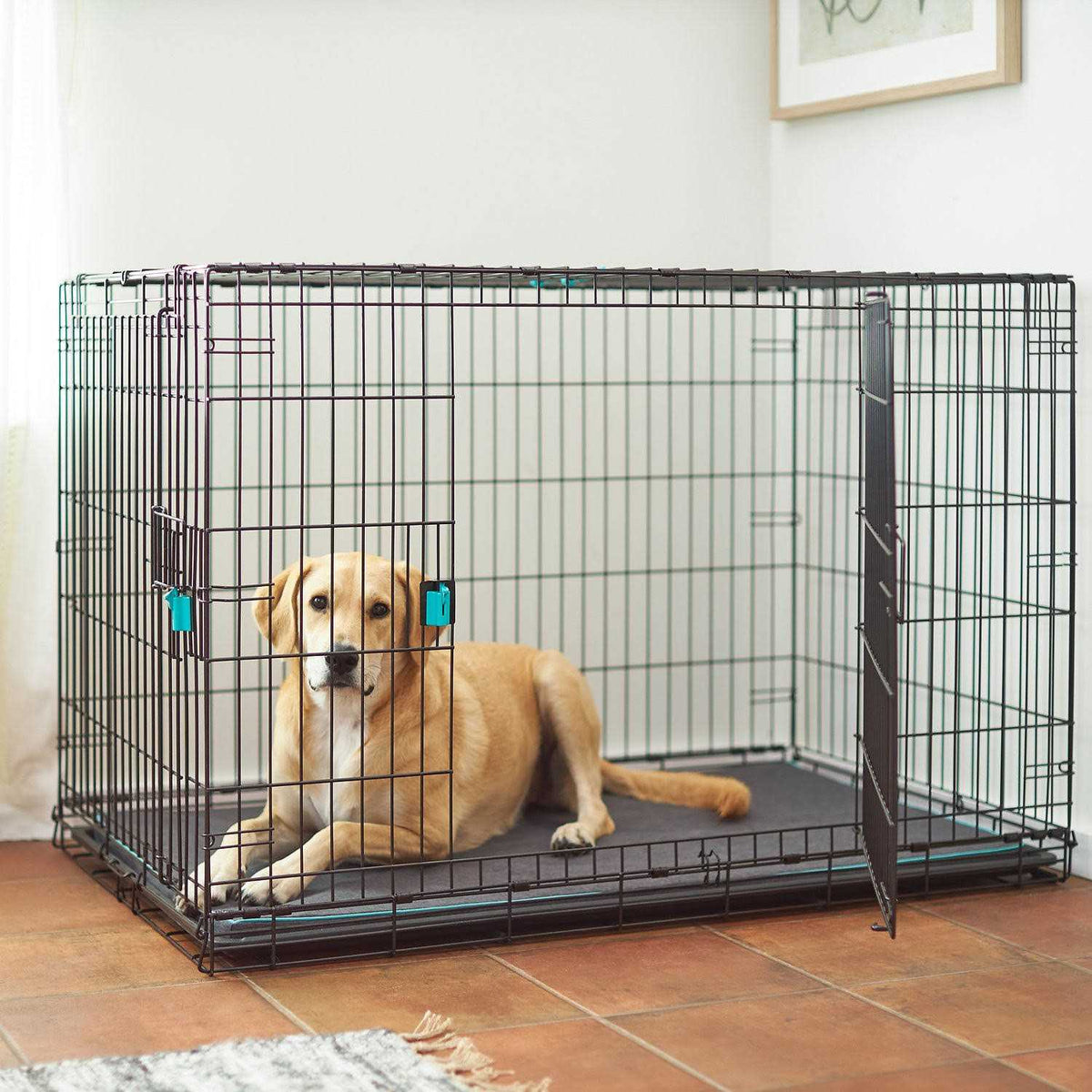 Double Door Wire Dog Crate W96146