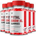 5 Pack Gummies 300 Gummies U817056