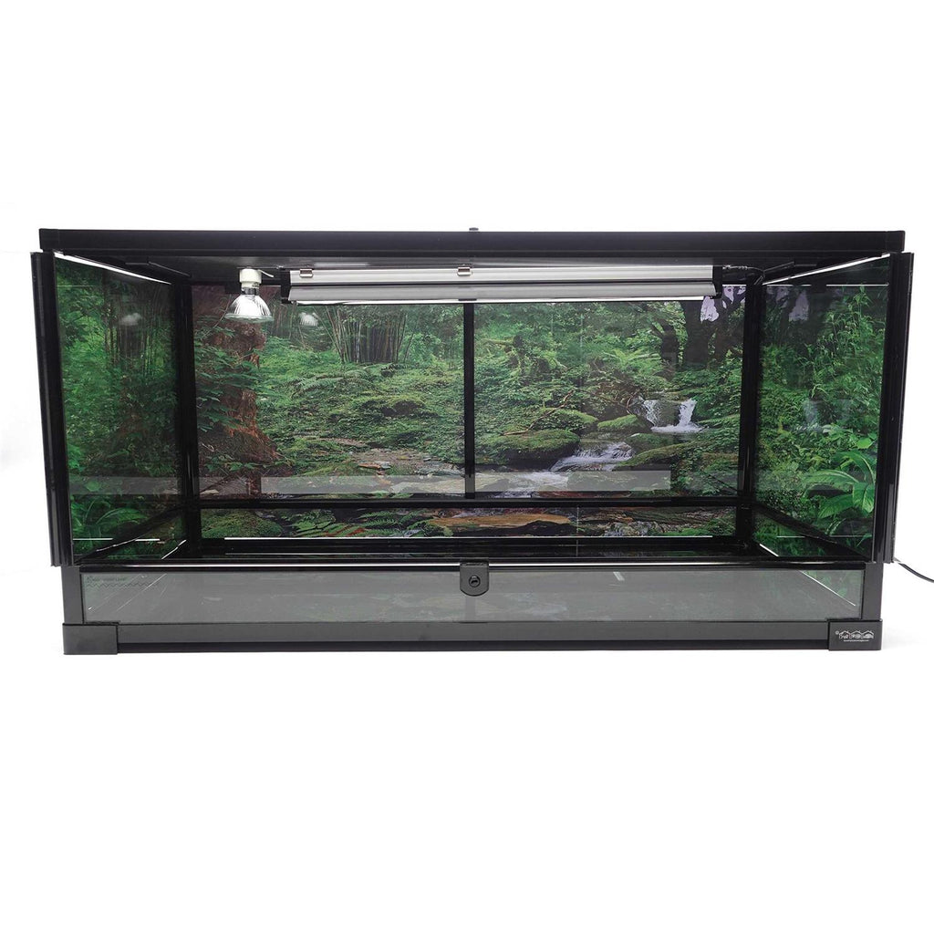 Terrarium Z239