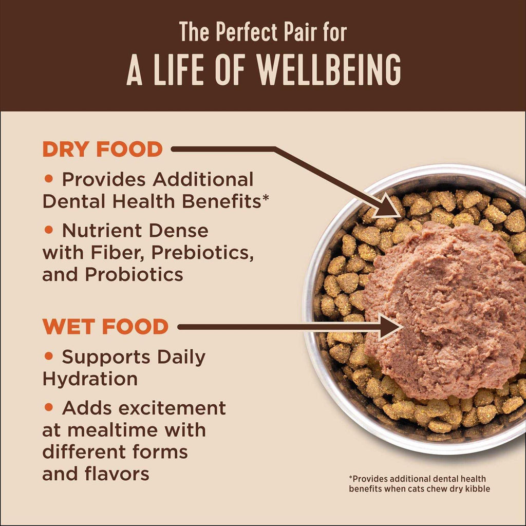 Wet Cat Food Pate Recipe H377741
