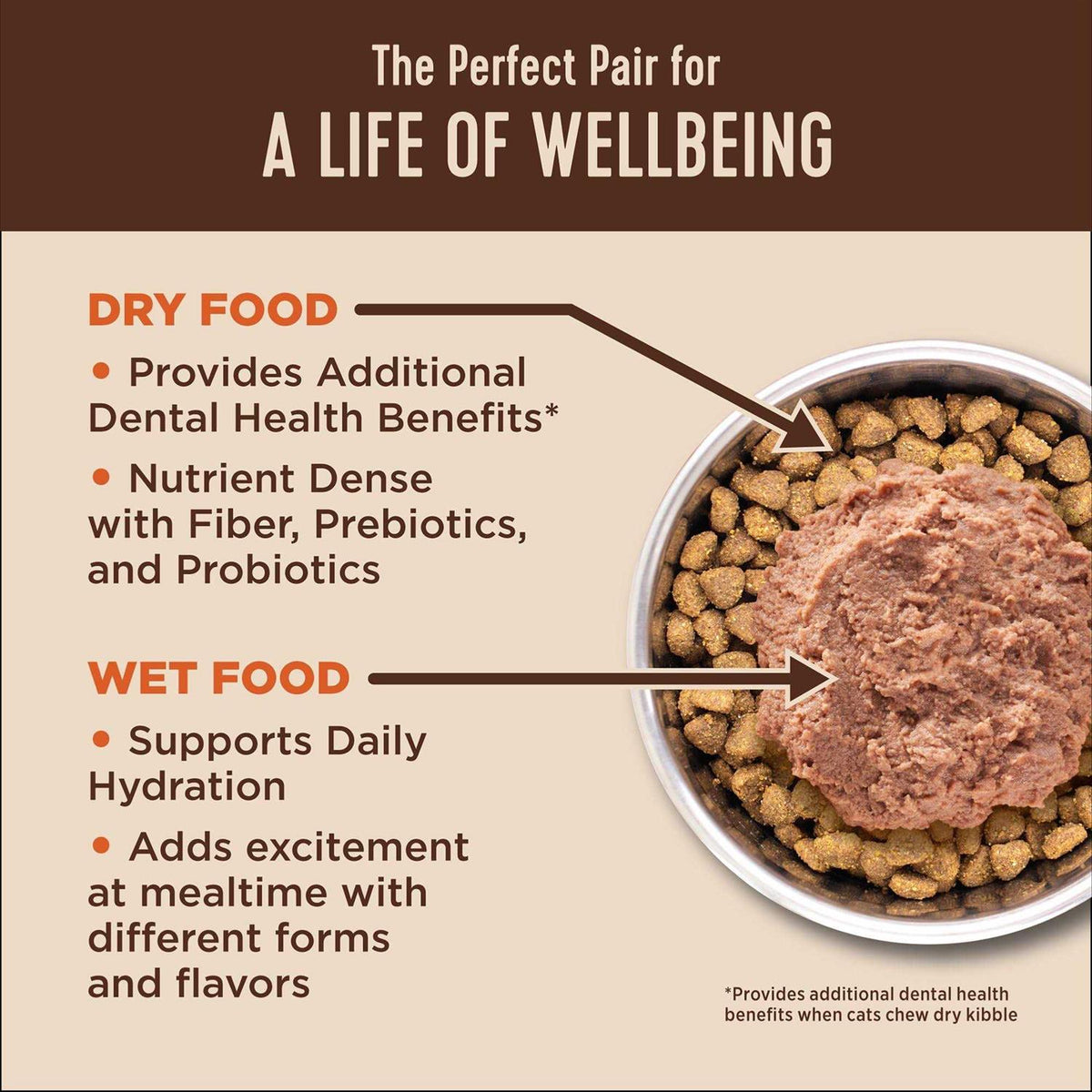 Wet Cat Food Pate Recipe H377741