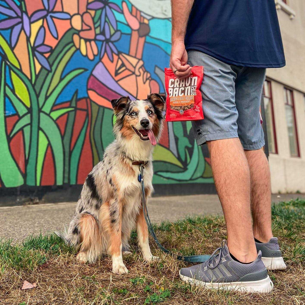 Dog Treats M353