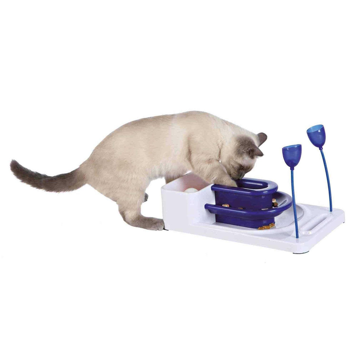 Blue & White Cat Fantasy Board B36041