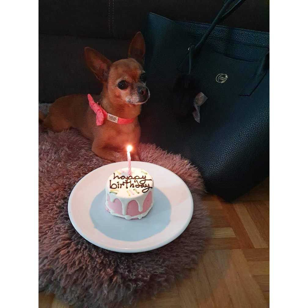 Pink Birthday Baby Cake Z8552