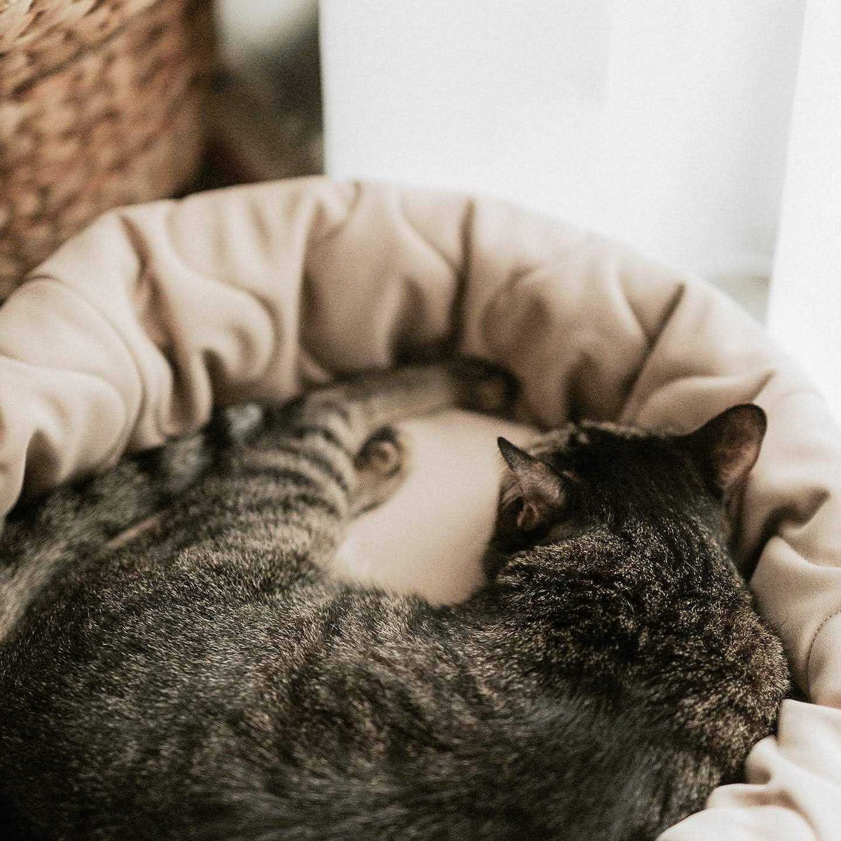 Reversible Donut Pet Bed V8651