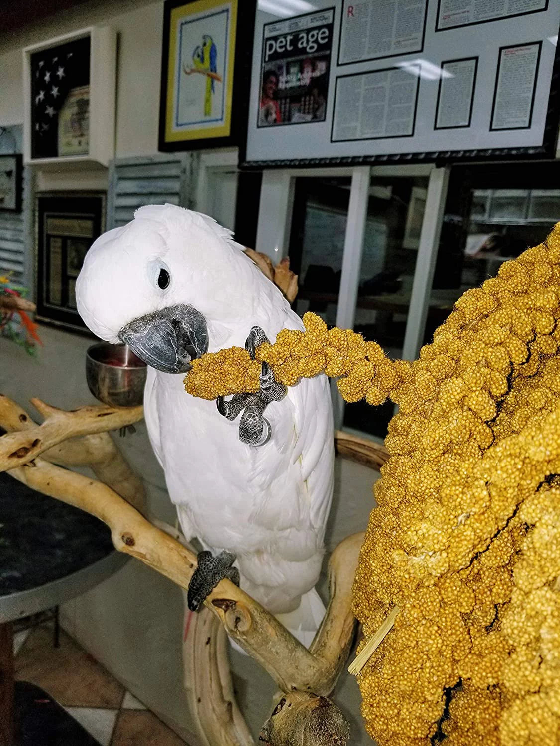 Spray Millet Bird Treat 1LB A930