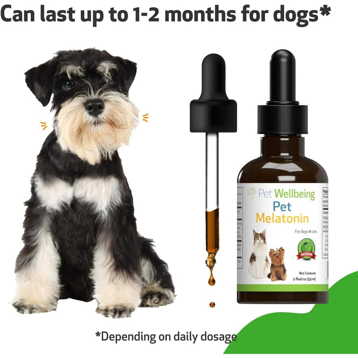 Melatonin for Dogs R65434