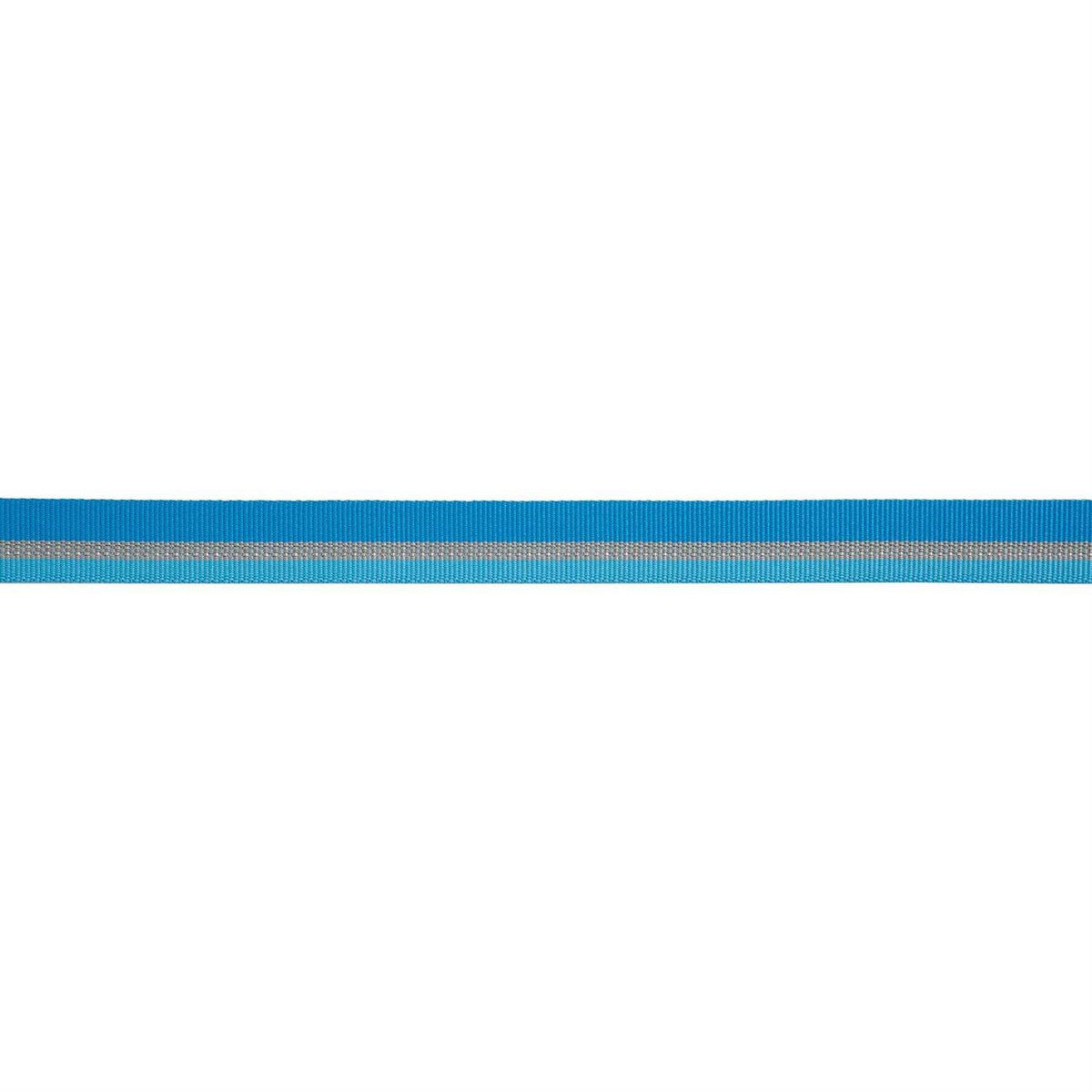 Dog Collar W595