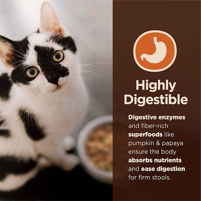 Wet Cat Food Pate Recipe H377741