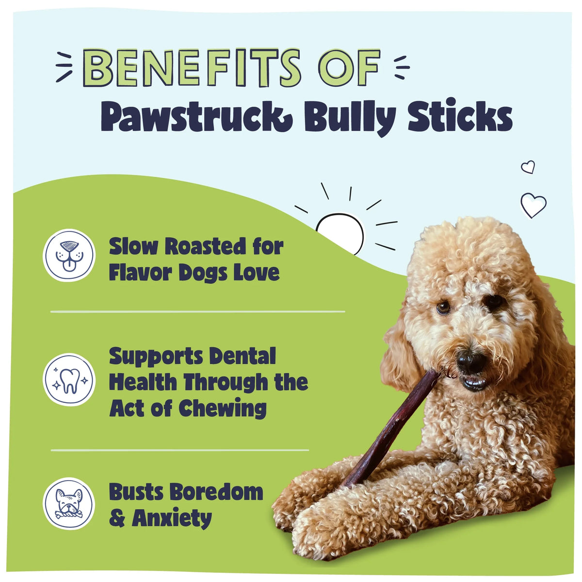 Natural 8-12" Beef Bully Sticks for Dogs 1 lb. Bag J871