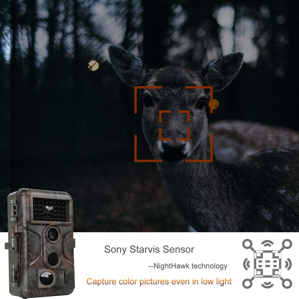 2-Pack 24MP 1296P Trail Cameras with Night Vision M4311