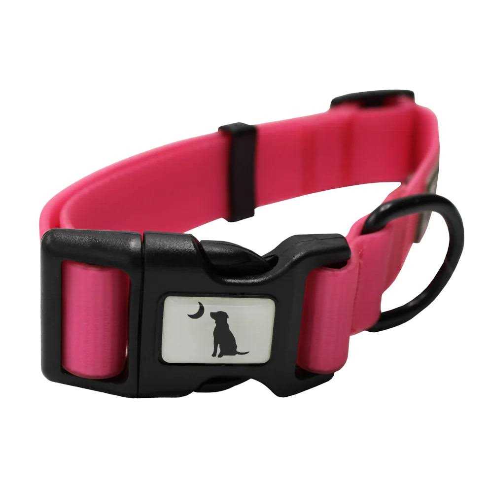 Dog Collar G69259
