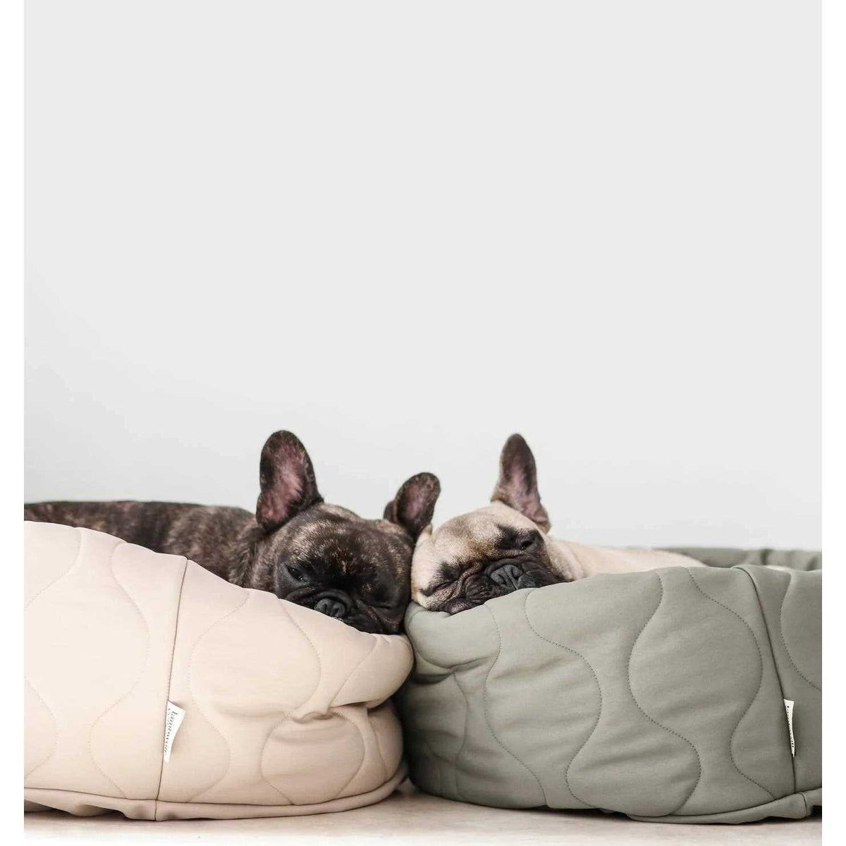 Reversible Donut Pet Bed V8651