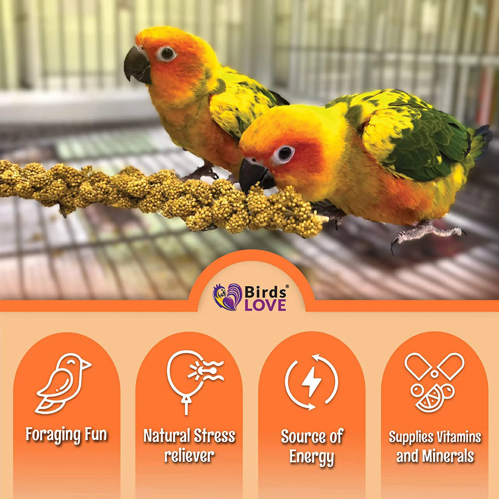 Spray Millet Bird Treat 1LB A930