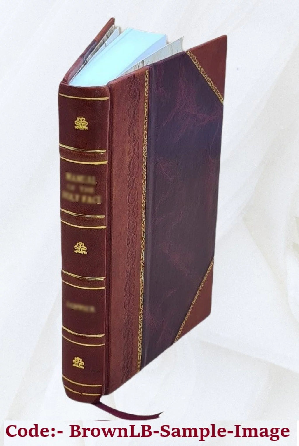 Physical and Medical Knowledge Leather Bound J2847