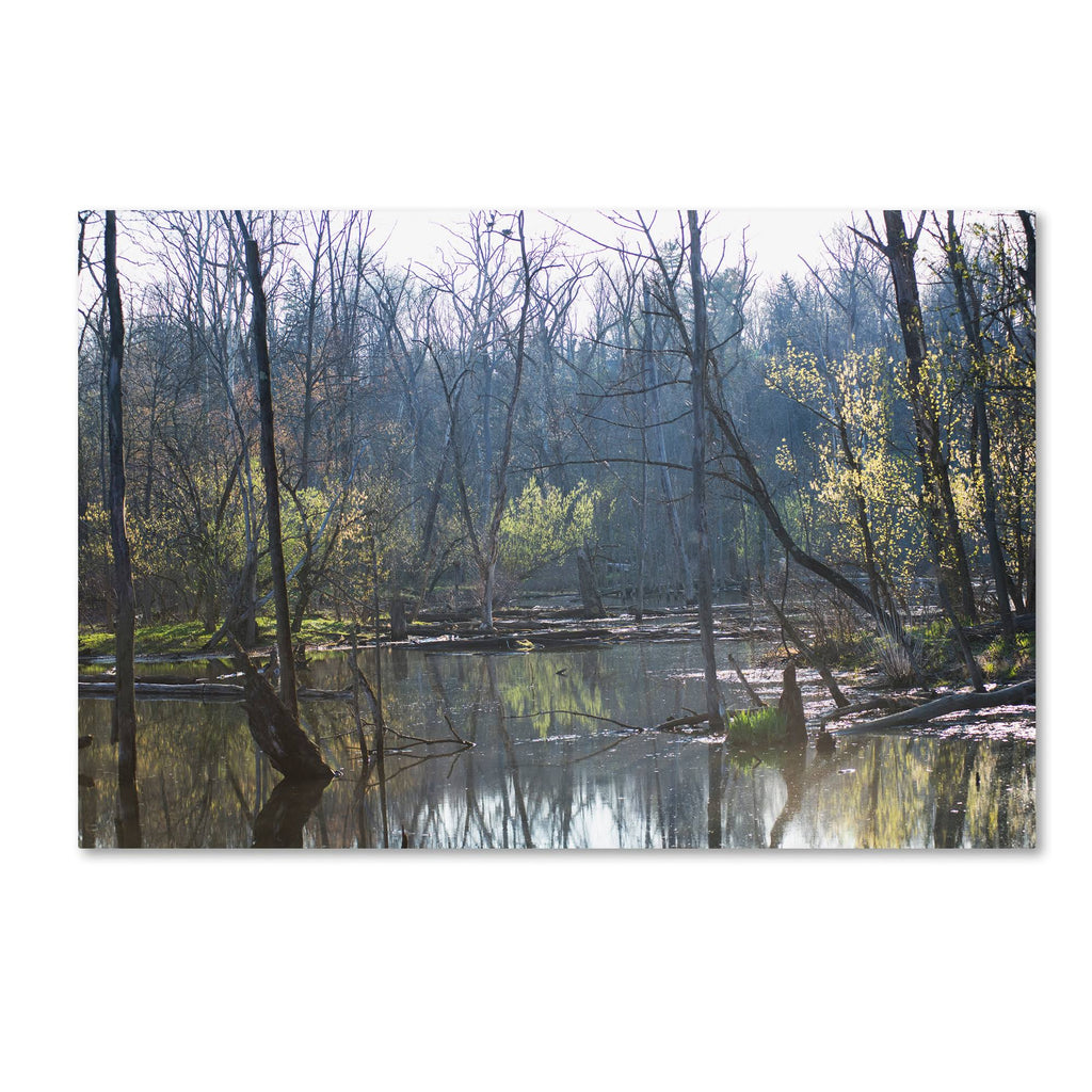 Canvas Art Q727