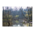Canvas Art Q727