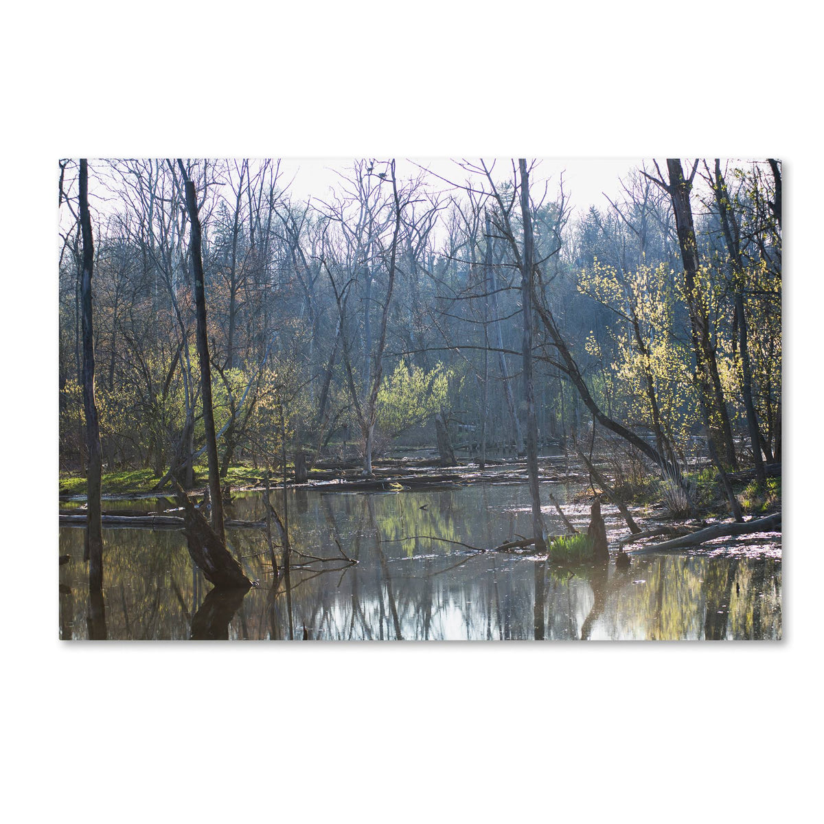 Canvas Art Q727