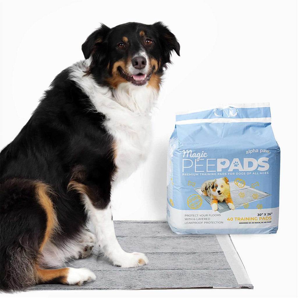 Dog Pee Pads Y362