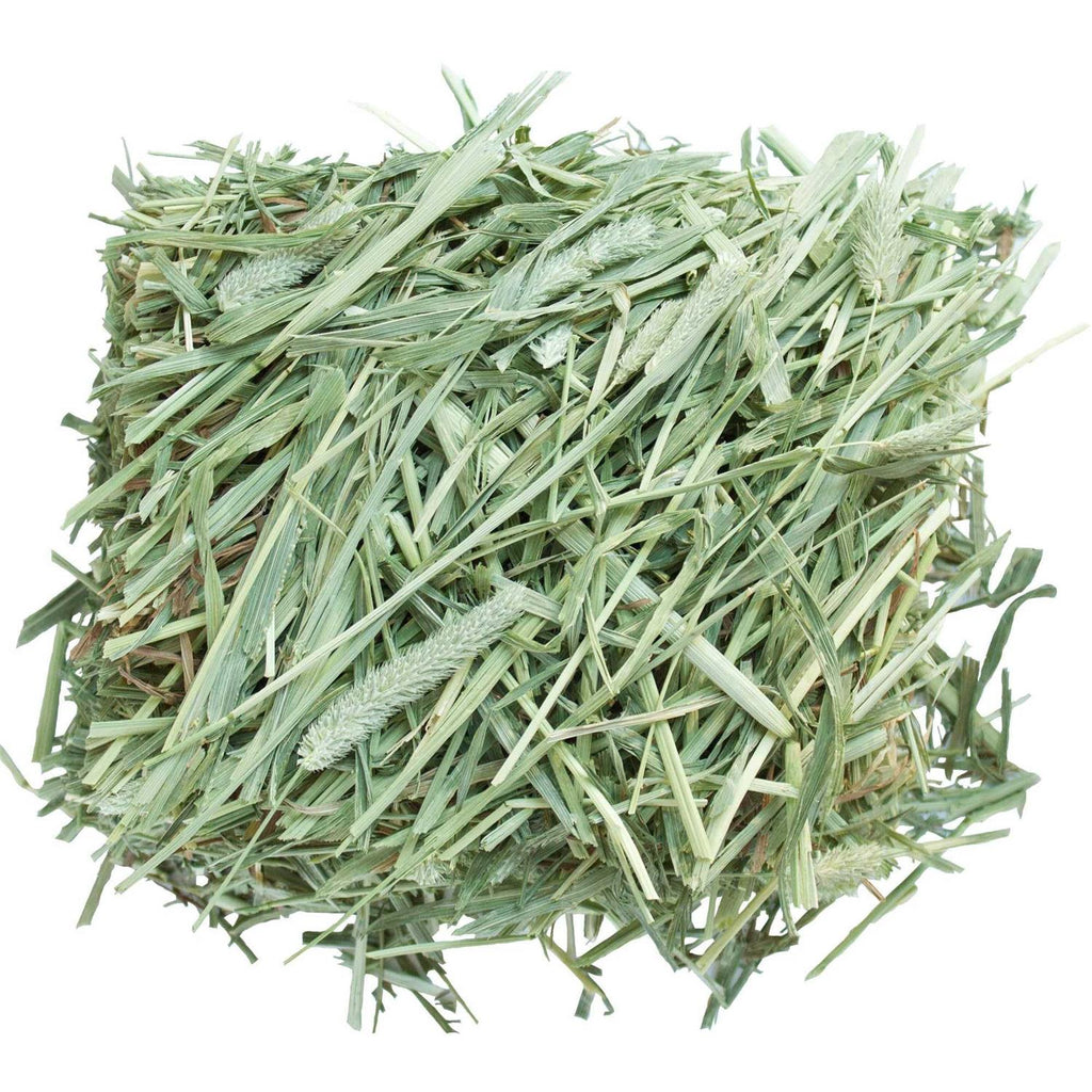 All-Natural Western Timothy Hay Chinchilla Food I3790