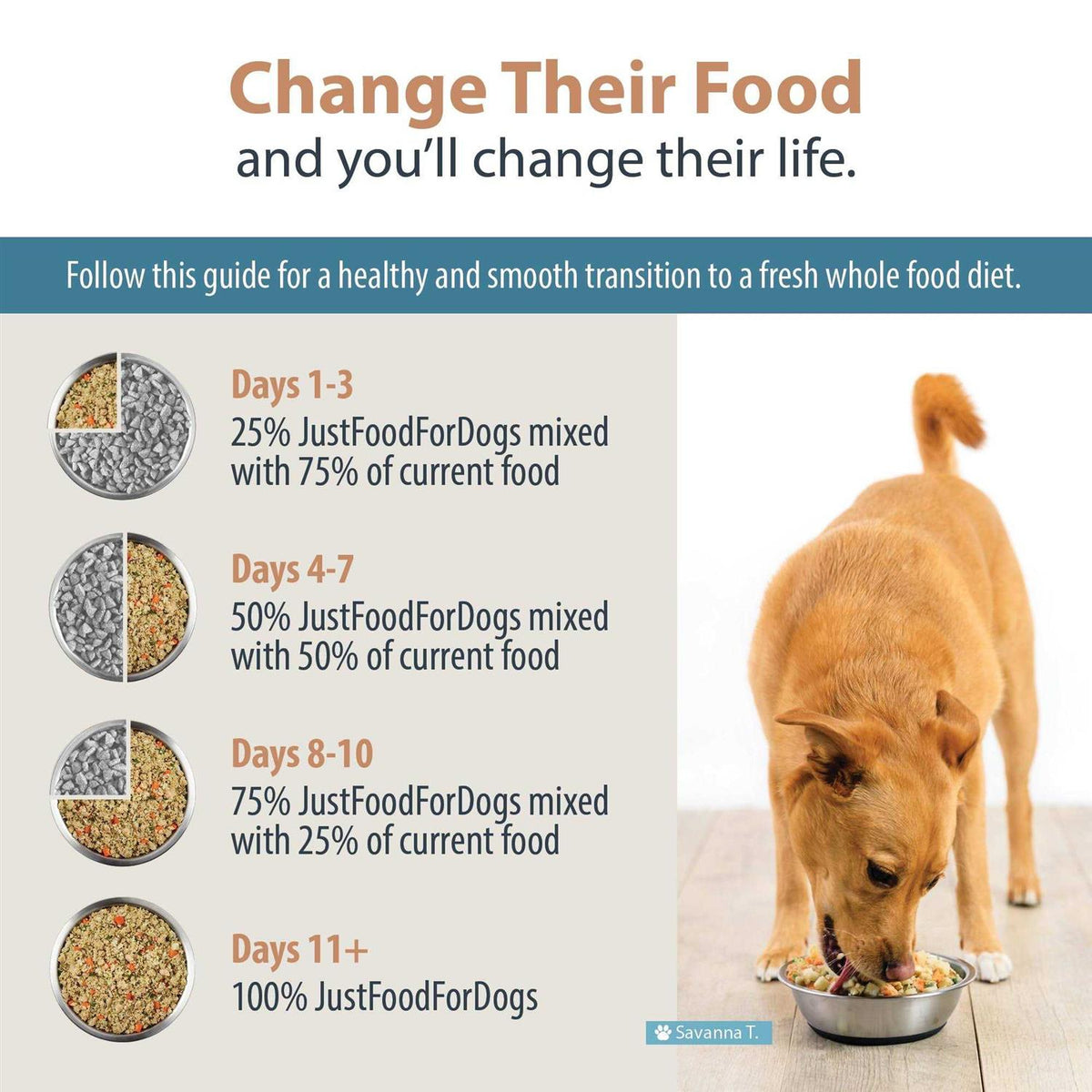 Rice Frozen Dog Food M884187