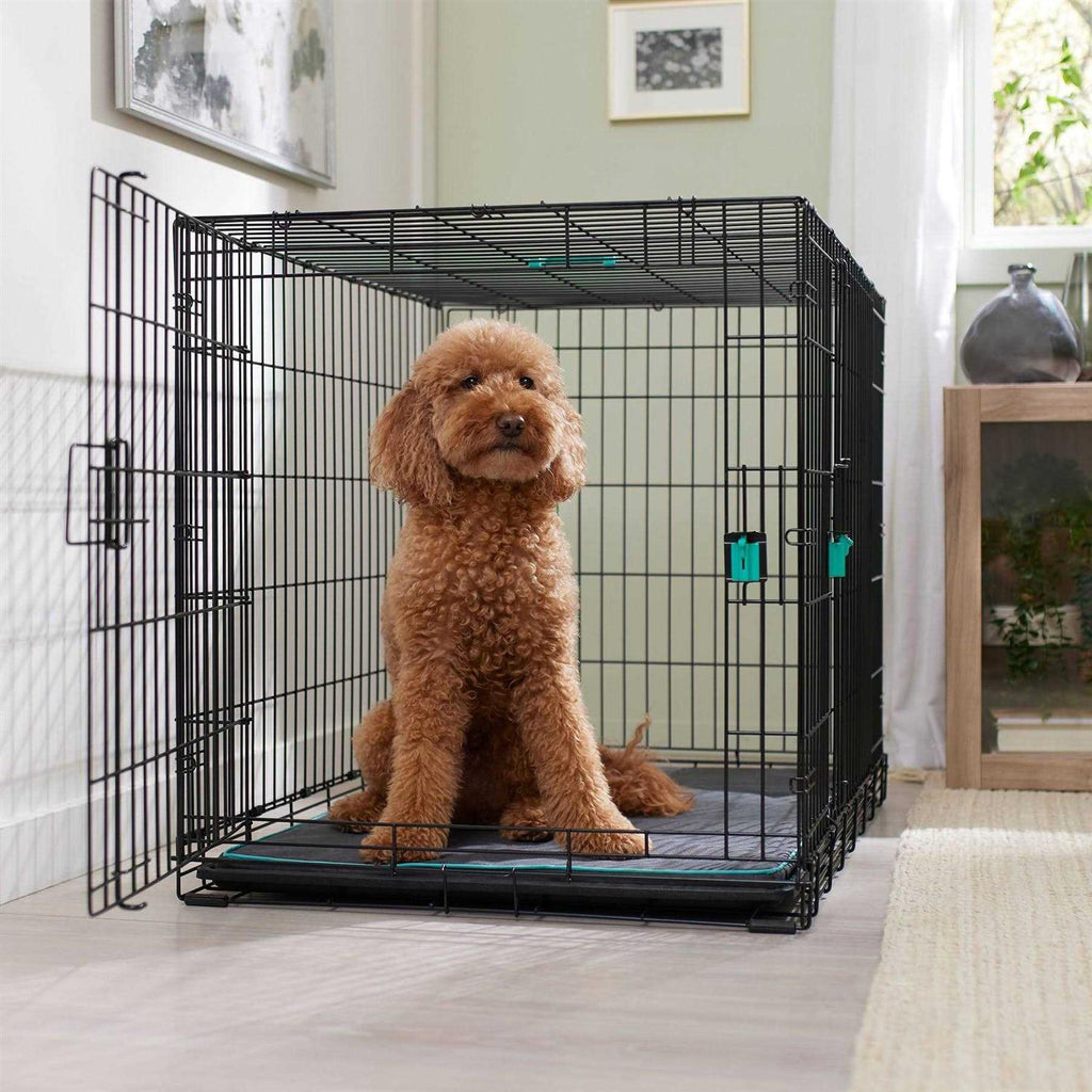 Double Door Wire Dog Crate W96146