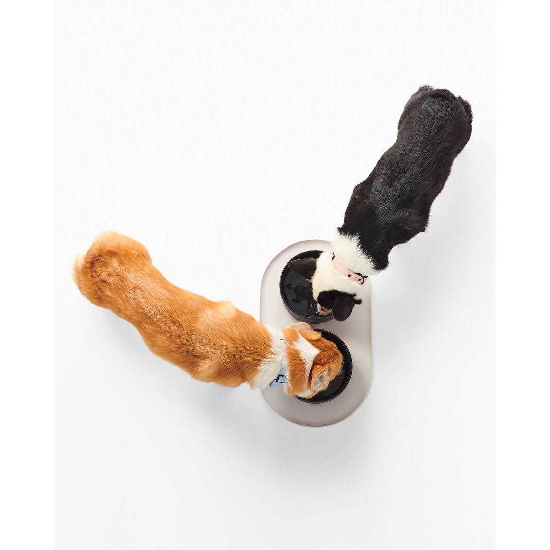 Dog Bowl Mat A26317