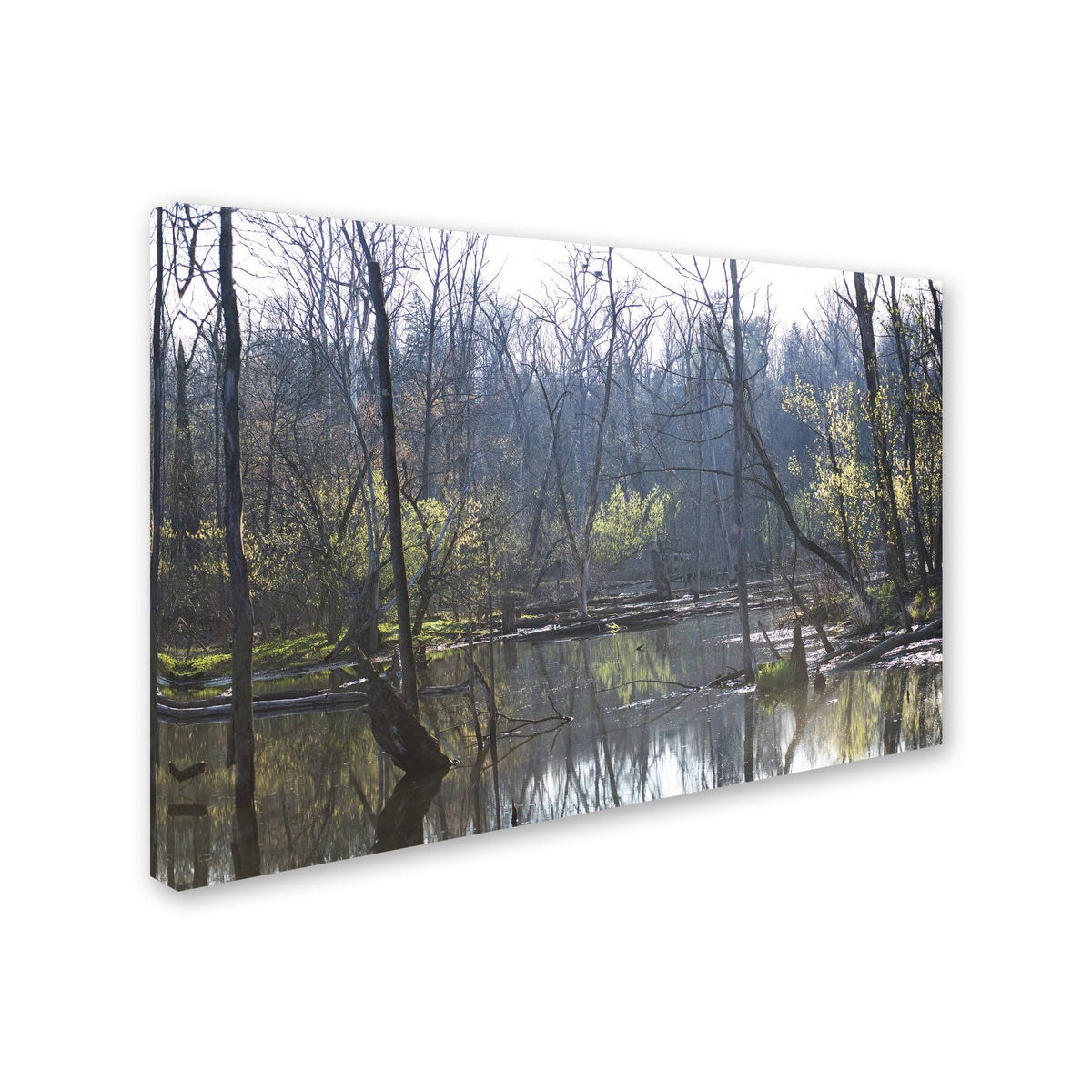 Canvas Art Q727
