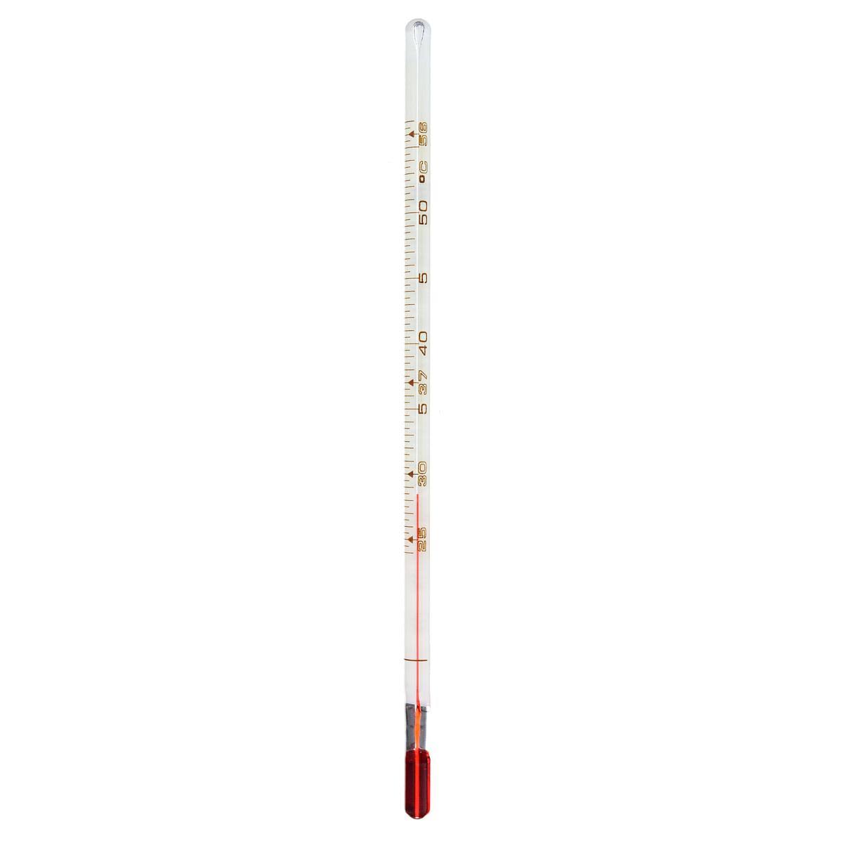 Liquid in Glass Thermometer Q97798