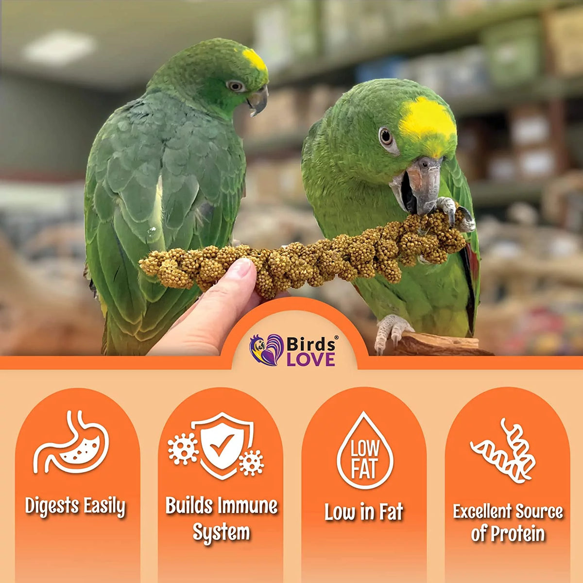 Spray Millet Bird Treat 1LB A930